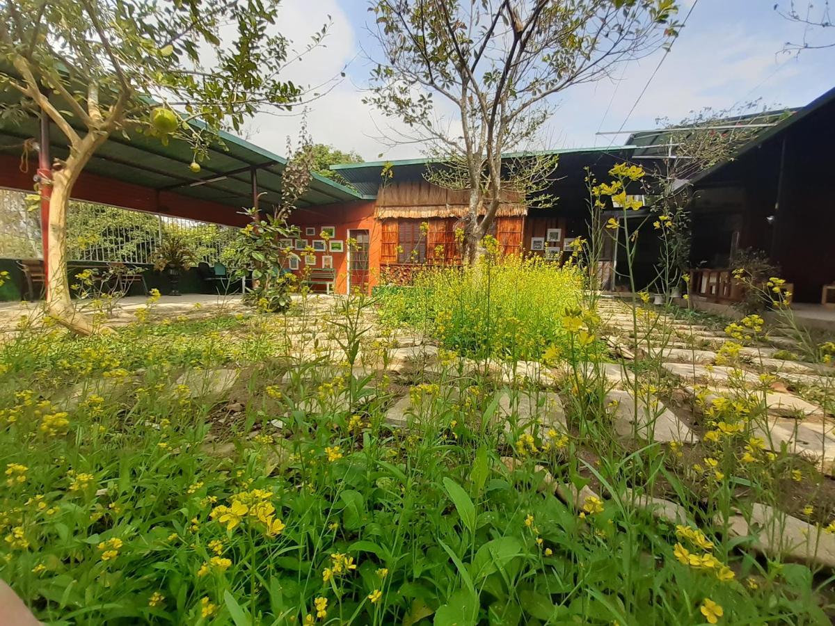 Homestay Lan Rung Nghia Lo エクステリア 写真