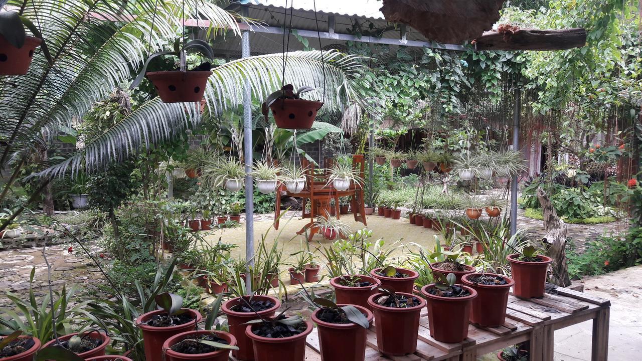 Homestay Lan Rung Nghia Lo エクステリア 写真