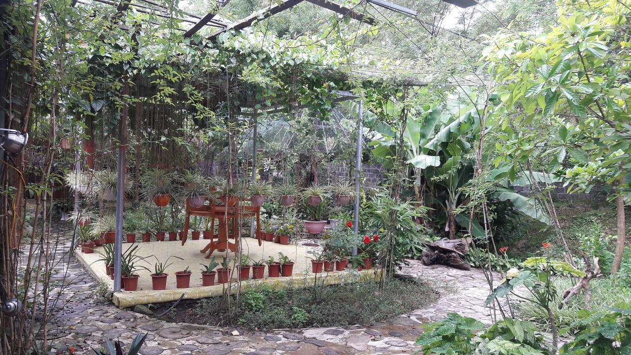 Homestay Lan Rung Nghia Lo エクステリア 写真
