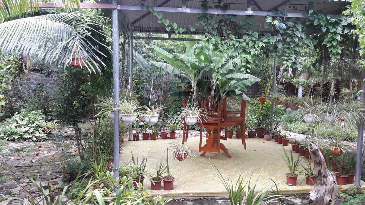 Homestay Lan Rung Nghia Lo エクステリア 写真